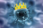 Коронавирус — отравленная корона человечества
