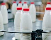Создадут ли Россия и Белоруссия единый молочный рынок?