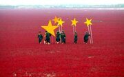 Пекин: чем жестче жесткая сила, тем эффективнее мягкая