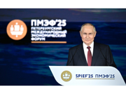 Выступление Владимира Путина на Петербургском международном экономическом форуме