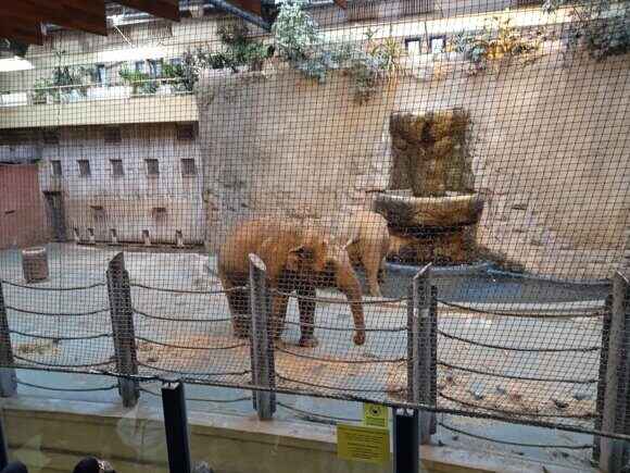 Московский зоопарк (2)