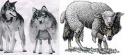 Волки в овечьей шкуре. Гендерная идеология — угроза национальной безопасности