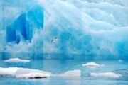 Китай намерен создать в Арктике «Полярный шёлковый путь»