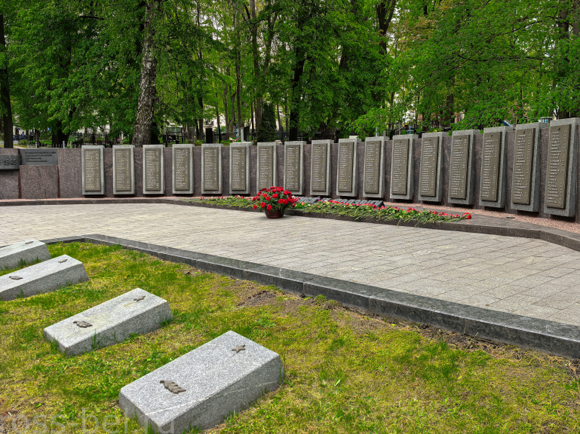 Воинское кладбище 5